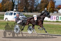 Dateiname=20251026_qu2_065_QU2_0206.jpg
Dateigröße=343KB
Abmessungen: 1000x667
hinzugefügt am: 27. Oktober 2025 20251026_qu2_065_QU2_0206.jpg