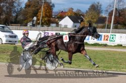 Dateiname=20251026_qu2_066_QU2_0209.jpg
Dateigröße=324KB
Abmessungen: 1000x667
hinzugefügt am: 27. Oktober 2025 20251026_qu2_066_QU2_0209.jpg