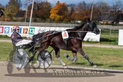 Dateiname=20251026_qu2_067_QU2_0213.jpg
Dateigröße=343KB
Abmessungen: 1000x667
hinzugefügt am: 27. Oktober 2025 20251026_qu2_067_QU2_0213.jpg