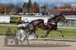 Dateiname=20251026_qu2_074_QU2_0229.jpg
Dateigröße=314KB
Abmessungen: 1000x667
hinzugefügt am: 27. Oktober 2025 20251026_qu2_074_QU2_0229.jpg