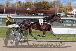 Dateiname=20251026_qu2_078_QU2_0237.jpg
Dateigröße=318KB
Abmessungen: 1000x667
hinzugefügt am: 27. Oktober 2025 20251026_qu2_078_QU2_0237.jpg