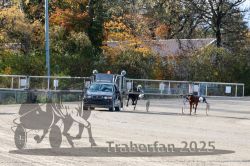 Dateiname=20251026_qu3_001_QU3_0003.jpg
Dateigröße=466KB
Abmessungen: 1000x667
hinzugefügt am: 27. Oktober 2025 20251026_qu3_001_QU3_0003.jpg