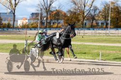 Dateiname=20251026_qu3_003_QU3_0008.jpg
Dateigröße=361KB
Abmessungen: 1000x667
hinzugefügt am: 27. Oktober 2025 20251026_qu3_003_QU3_0008.jpg