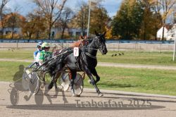 Dateiname=20251026_qu3_005_QU3_0012.jpg
Dateigröße=326KB
Abmessungen: 1000x667
hinzugefügt am: 27. Oktober 2025 20251026_qu3_005_QU3_0012.jpg