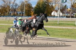 Dateiname=20251026_qu3_006_QU3_0014.jpg
Dateigröße=333KB
Abmessungen: 1000x667
hinzugefügt am: 27. Oktober 2025 20251026_qu3_006_QU3_0014.jpg