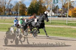 Dateiname=20251026_qu3_007_QU3_0015.jpg
Dateigröße=347KB
Abmessungen: 1000x667
hinzugefügt am: 27. Oktober 2025 20251026_qu3_007_QU3_0015.jpg