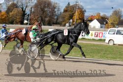 Dateiname=20251026_qu3_010_QU3_0024.jpg
Dateigröße=333KB
Abmessungen: 1000x667
hinzugefügt am: 27. Oktober 2025 20251026_qu3_010_QU3_0024.jpg