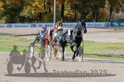 Dateiname=20251026_qu3_022_QU3_0047.jpg
Dateigröße=334KB
Abmessungen: 1000x667
hinzugefügt am: 27. Oktober 2025 20251026_qu3_022_QU3_0047.jpg