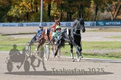 Dateiname=20251026_qu3_024_QU3_0049.jpg
Dateigröße=343KB
Abmessungen: 1000x667
hinzugefügt am: 27. Oktober 2025 20251026_qu3_024_QU3_0049.jpg