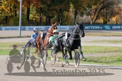 Dateiname=20251026_qu3_025_QU3_0052.jpg
Dateigröße=329KB
Abmessungen: 1000x667
hinzugefügt am: 27. Oktober 2025 20251026_qu3_025_QU3_0052.jpg