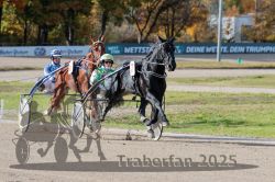 Dateiname=20251026_qu3_026_QU3_0055.jpg
Dateigröße=335KB
Abmessungen: 1000x667
hinzugefügt am: 27. Oktober 2025 20251026_qu3_026_QU3_0055.jpg