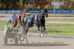 Dateiname=20251026_qu3_027_QU3_0056.jpg
Dateigröße=343KB
Abmessungen: 1000x667
hinzugefügt am: 27. Oktober 2025 20251026_qu3_027_QU3_0056.jpg