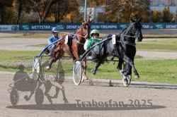 Dateiname=20251026_qu3_028_QU3_0062.jpg
Dateigröße=352KB
Abmessungen: 1000x667
hinzugefügt am: 27. Oktober 2025 20251026_qu3_028_QU3_0062.jpg