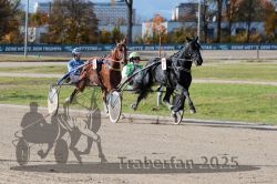 Dateiname=20251026_qu3_030_QU3_0069.jpg
Dateigröße=361KB
Abmessungen: 1000x667
hinzugefügt am: 27. Oktober 2025 20251026_qu3_030_QU3_0069.jpg