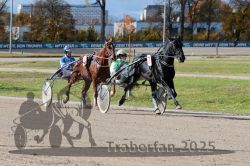 Dateiname=20251026_qu3_031_QU3_0070.jpg
Dateigröße=377KB
Abmessungen: 1000x667
hinzugefügt am: 27. Oktober 2025 20251026_qu3_031_QU3_0070.jpg