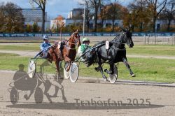 Dateiname=20251026_qu3_032_QU3_0073.jpg
Dateigröße=365KB
Abmessungen: 1000x667
hinzugefügt am: 27. Oktober 2025 20251026_qu3_032_QU3_0073.jpg