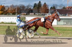 Dateiname=20251026_qu3_038_QU3_0093.jpg
Dateigröße=337KB
Abmessungen: 1000x667
hinzugefügt am: 27. Oktober 2025 20251026_qu3_038_QU3_0093.jpg