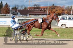 Dateiname=20251026_qu3_039_QU3_0096.jpg
Dateigröße=322KB
Abmessungen: 1000x667
hinzugefügt am: 27. Oktober 2025 20251026_qu3_039_QU3_0096.jpg