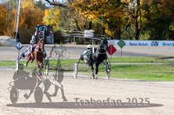 Dateiname=20251026_qu3_045_QU3_0114.jpg
Dateigröße=389KB
Abmessungen: 1000x667
hinzugefügt am: 27. Oktober 2025 20251026_qu3_045_QU3_0114.jpg