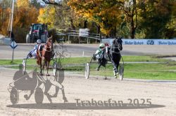 Dateiname=20251026_qu3_047_QU3_0118.jpg
Dateigröße=380KB
Abmessungen: 1000x667
hinzugefügt am: 27. Oktober 2025 20251026_qu3_047_QU3_0118.jpg