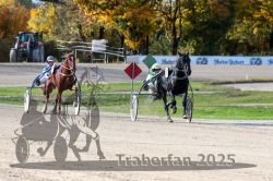 Dateiname=20251026_qu3_049_QU3_0122.jpg
Dateigröße=371KB
Abmessungen: 1000x667
hinzugefügt am: 27. Oktober 2025 20251026_qu3_049_QU3_0122.jpg