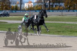 Dateiname=20251026_qu3_054_QU3_0143.jpg
Dateigröße=330KB
Abmessungen: 1000x667
hinzugefügt am: 27. Oktober 2025 20251026_qu3_054_QU3_0143.jpg