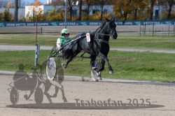 Dateiname=20251026_qu3_055_QU3_0146.jpg
Dateigröße=328KB
Abmessungen: 1000x667
hinzugefügt am: 27. Oktober 2025 20251026_qu3_055_QU3_0146.jpg