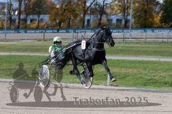 Dateiname=20251026_qu3_057_QU3_0150.jpg
Dateigröße=305KB
Abmessungen: 1000x667
hinzugefügt am: 27. Oktober 2025 20251026_qu3_057_QU3_0150.jpg