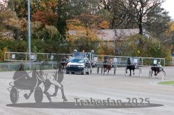 Dateiname=20251026_r01_014_R01_0047.jpg
Dateigröße=412KB
Abmessungen: 1000x667
hinzugefügt am: 27. Oktober 2025 20251026_r01_014_R01_0047.jpg