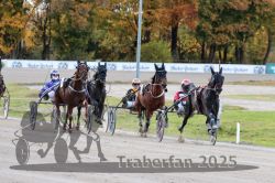 Dateiname=20251026_r01_027_R01_0094.jpg
Dateigröße=338KB
Abmessungen: 1000x667
hinzugefügt am: 27. Oktober 2025 20251026_r01_027_R01_0094.jpg