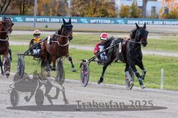 Dateiname=20251026_r01_032_R01_0105.jpg
Dateigröße=324KB
Abmessungen: 1000x667
hinzugefügt am: 27. Oktober 2025 20251026_r01_032_R01_0105.jpg