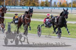 Dateiname=20251026_r01_033_R01_0108.jpg
Dateigröße=318KB
Abmessungen: 1000x667
hinzugefügt am: 27. Oktober 2025 20251026_r01_033_R01_0108.jpg