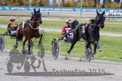 Dateiname=20251026_r01_034_R01_0111.jpg
Dateigröße=323KB
Abmessungen: 1000x667
hinzugefügt am: 27. Oktober 2025 20251026_r01_034_R01_0111.jpg