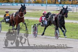 Dateiname=20251026_r01_035_R01_0112.jpg
Dateigröße=314KB
Abmessungen: 1000x667
hinzugefügt am: 27. Oktober 2025 20251026_r01_035_R01_0112.jpg