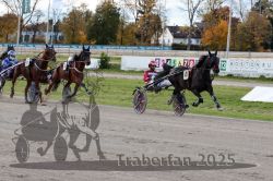 Dateiname=20251026_r01_038_R01_0117.jpg
Dateigröße=350KB
Abmessungen: 1000x667
hinzugefügt am: 27. Oktober 2025 20251026_r01_038_R01_0117.jpg