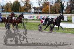 Dateiname=20251026_r01_039_R01_0120.jpg
Dateigröße=356KB
Abmessungen: 1000x667
hinzugefügt am: 27. Oktober 2025 20251026_r01_039_R01_0120.jpg