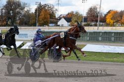 Dateiname=20251026_r01_044_R01_0136.jpg
Dateigröße=331KB
Abmessungen: 1000x667
hinzugefügt am: 27. Oktober 2025 20251026_r01_044_R01_0136.jpg