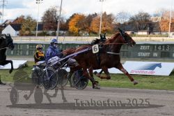 Dateiname=20251026_r01_045_R01_0140.jpg
Dateigröße=306KB
Abmessungen: 1000x667
hinzugefügt am: 27. Oktober 2025 20251026_r01_045_R01_0140.jpg