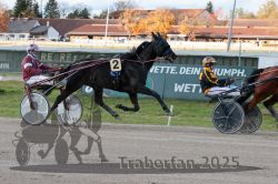 Dateiname=20251026_r01_046_R01_0144.jpg
Dateigröße=331KB
Abmessungen: 1000x667
hinzugefügt am: 27. Oktober 2025 20251026_r01_046_R01_0144.jpg