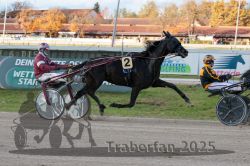 Dateiname=20251026_r01_047_R01_0147.jpg
Dateigröße=333KB
Abmessungen: 1000x667
hinzugefügt am: 27. Oktober 2025 20251026_r01_047_R01_0147.jpg