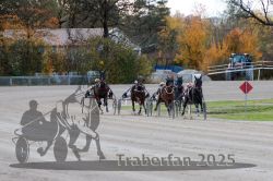 Dateiname=20251026_r01_050_R01_0159.jpg
Dateigröße=347KB
Abmessungen: 1000x667
hinzugefügt am: 27. Oktober 2025 20251026_r01_050_R01_0159.jpg