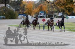 Dateiname=20251026_r01_053_R01_0170.jpg
Dateigröße=322KB
Abmessungen: 1000x667
hinzugefügt am: 27. Oktober 2025 20251026_r01_053_R01_0170.jpg