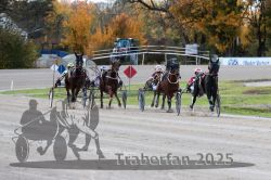 Dateiname=20251026_r01_054_R01_0173.jpg
Dateigröße=325KB
Abmessungen: 1000x667
hinzugefügt am: 27. Oktober 2025 20251026_r01_054_R01_0173.jpg