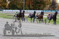 Dateiname=20251026_r01_058_R01_0187.jpg
Dateigröße=324KB
Abmessungen: 1000x667
hinzugefügt am: 27. Oktober 2025 20251026_r01_058_R01_0187.jpg