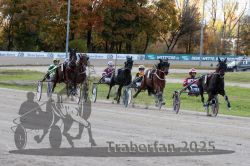 Dateiname=20251026_r01_059_R01_0190.jpg
Dateigröße=356KB
Abmessungen: 1000x667
hinzugefügt am: 27. Oktober 2025 20251026_r01_059_R01_0190.jpg