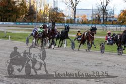 Dateiname=20251026_r01_062_R01_0200.jpg
Dateigröße=362KB
Abmessungen: 1000x667
hinzugefügt am: 27. Oktober 2025 20251026_r01_062_R01_0200.jpg