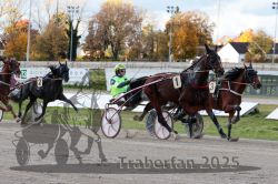 Dateiname=20251026_r01_068_R01_0213.jpg
Dateigröße=339KB
Abmessungen: 1000x667
hinzugefügt am: 27. Oktober 2025 20251026_r01_068_R01_0213.jpg