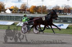 Dateiname=20251026_r01_071_R01_0219.jpg
Dateigröße=303KB
Abmessungen: 1000x667
hinzugefügt am: 27. Oktober 2025 20251026_r01_071_R01_0219.jpg