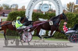 Dateiname=20251026_r01_080_R01_0233.jpg
Dateigröße=326KB
Abmessungen: 1000x667
hinzugefügt am: 27. Oktober 2025 20251026_r01_080_R01_0233.jpg