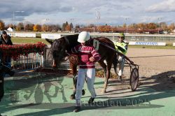 Dateiname=20251026_r01_081_R01_0240.jpg
Dateigröße=380KB
Abmessungen: 1000x667
hinzugefügt am: 27. Oktober 2025 20251026_r01_081_R01_0240.jpg